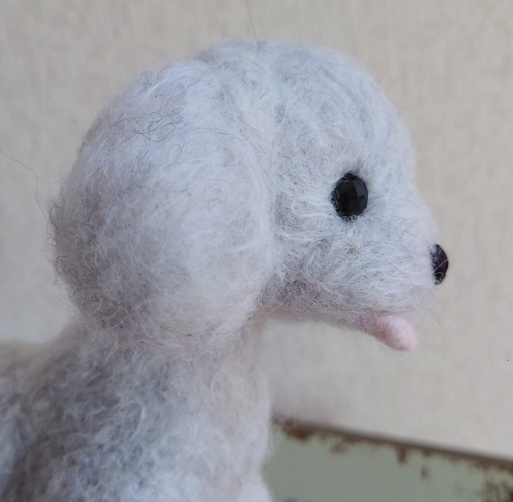 一点物のトイプードル