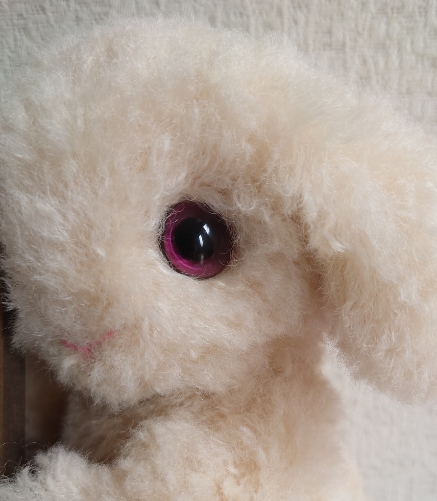 【おうちが決まりました】一点物のもふもふうさぎさん