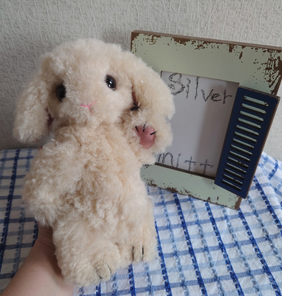 【おうちが決まりました】一点物のもふもふうさぎさん