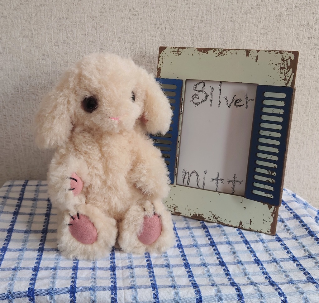 【おうちが決まりました】一点物のもふもふうさぎさん