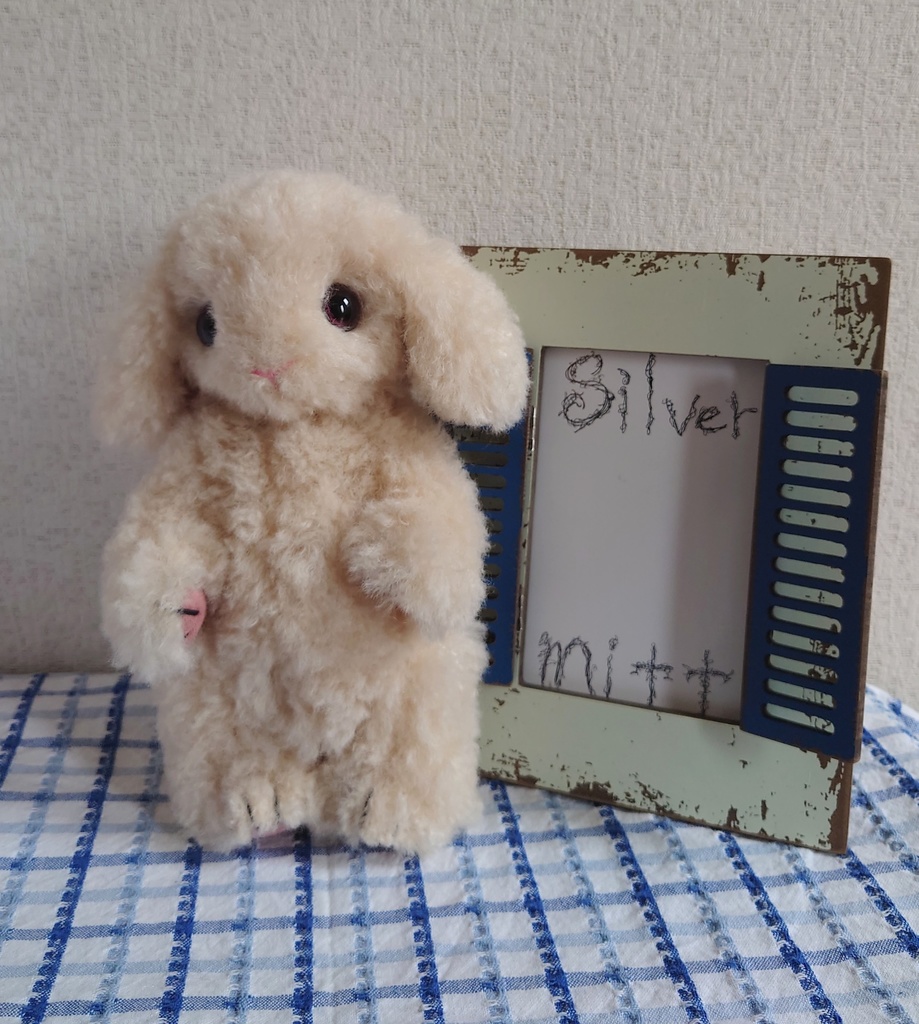 【おうちが決まりました】一点物のもふもふうさぎさん