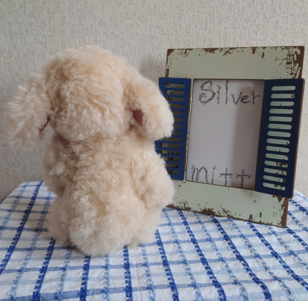 【おうちが決まりました】一点物のもふもふうさぎさん