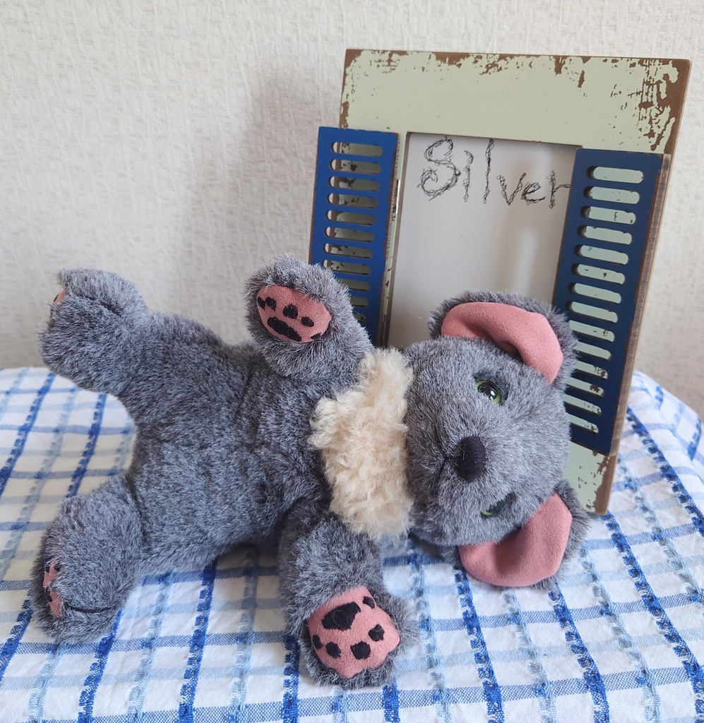 【おうちが決まりました】【一点物】眠たいこぐまのぬいぐるみ