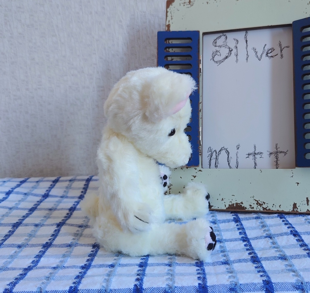 【おうちが決まりました】一点物のうつむきテディベアちゃん