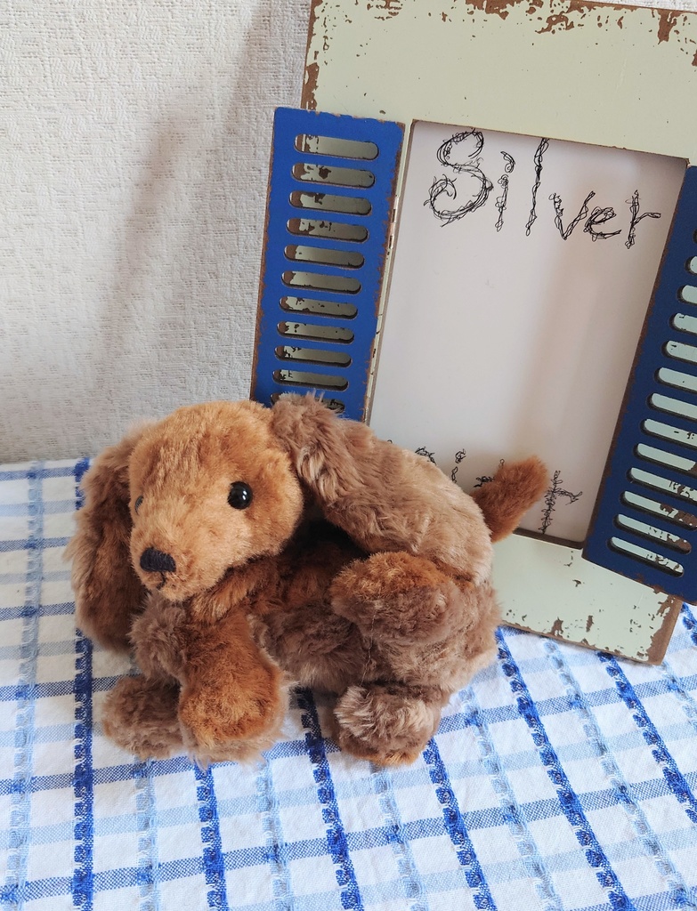 【おうちが決まりました】一点物のダックスフンドのぬいぐるみ