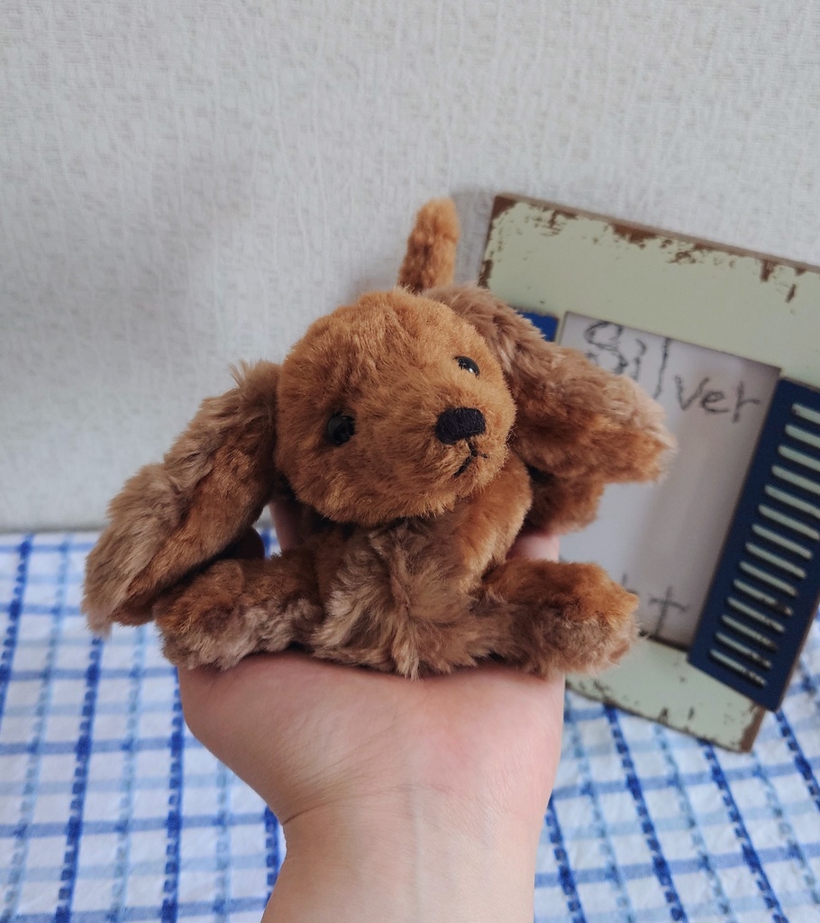 【おうちが決まりました】一点物のダックスフンドのぬいぐるみ