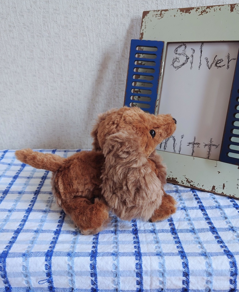 【おうちが決まりました】一点物のダックスフンドのぬいぐるみ