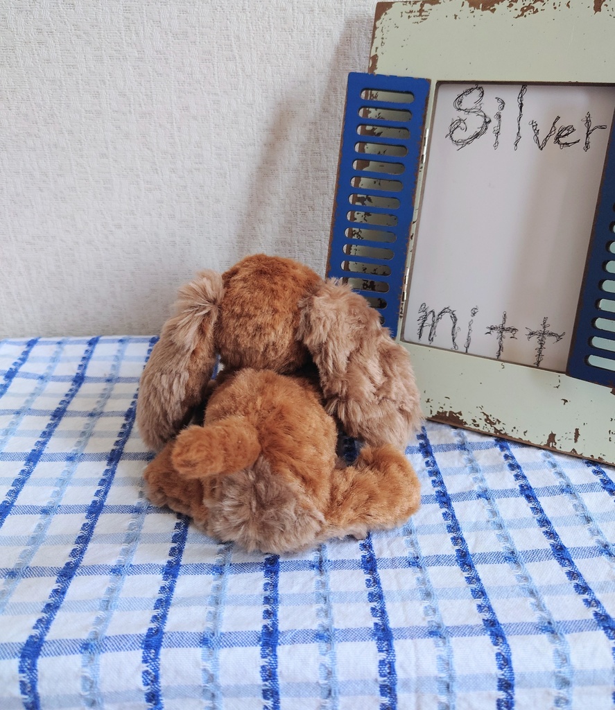 【おうちが決まりました】一点物のダックスフンドのぬいぐるみ