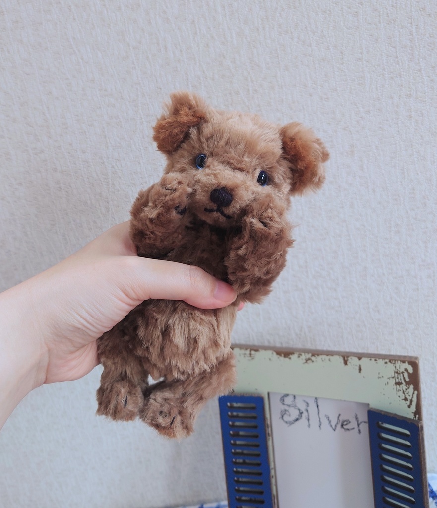 【おうちが決まりました】一点物の短いあんよのテディベア