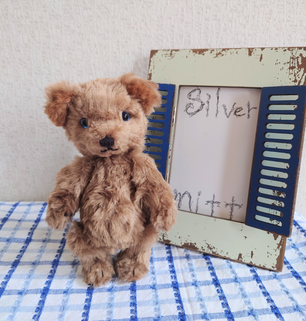 【おうちが決まりました】一点物の短いあんよのテディベア