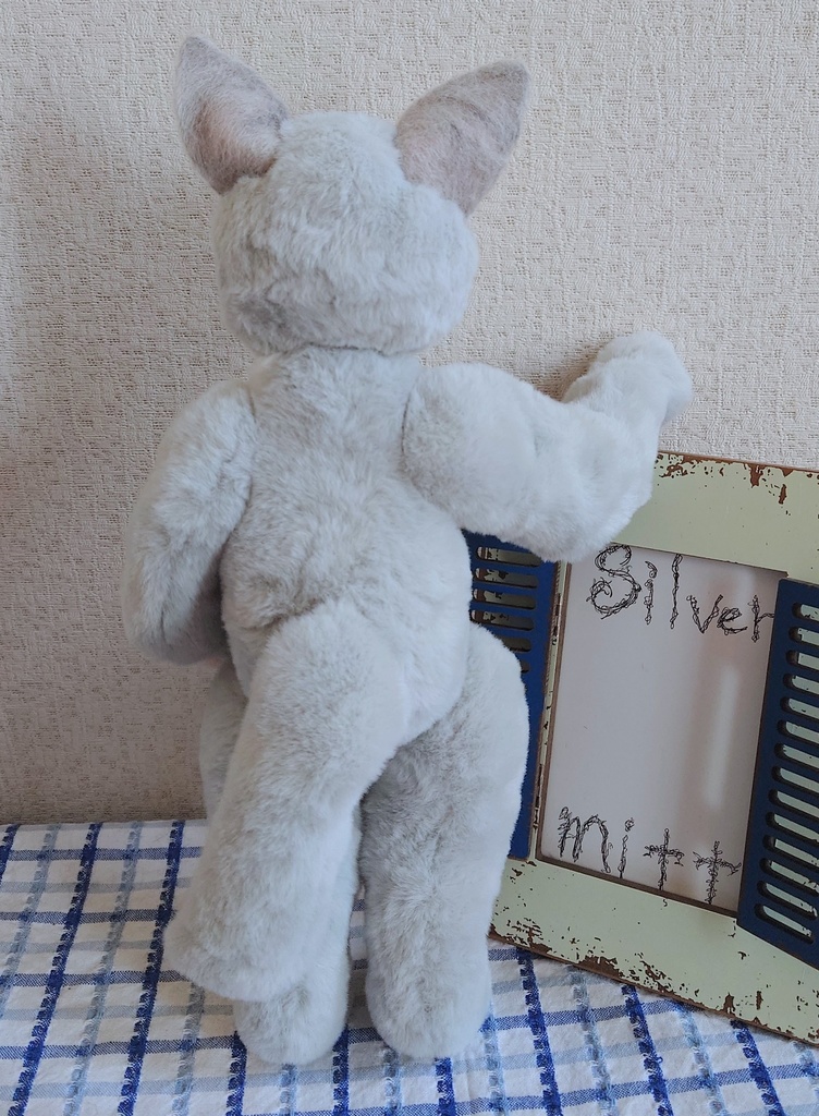 【おうちが決まりました】【一点物】●どるぐるみシリーズ5●リアルめな顔の猫さん