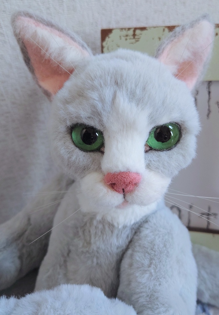 【おうちが決まりました】【一点物】●どるぐるみシリーズ5●リアルめな顔の猫さん