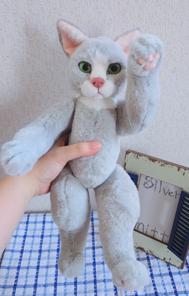 【おうちが決まりました】【一点物】●どるぐるみシリーズ5●リアルめな顔の猫さん