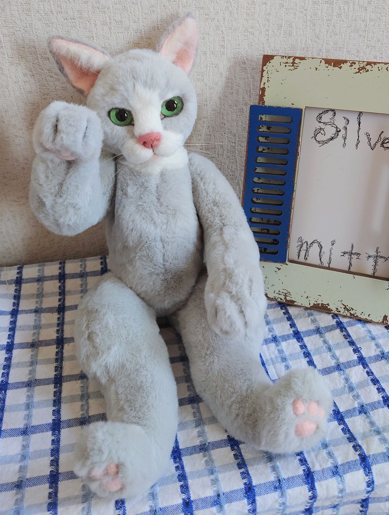 【おうちが決まりました】【一点物】●どるぐるみシリーズ5●リアルめな顔の猫さん