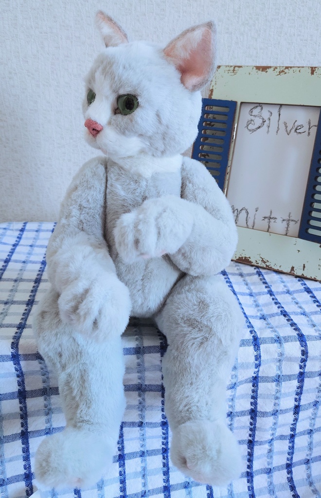 【おうちが決まりました】【一点物】●どるぐるみシリーズ5●リアルめな顔の猫さん