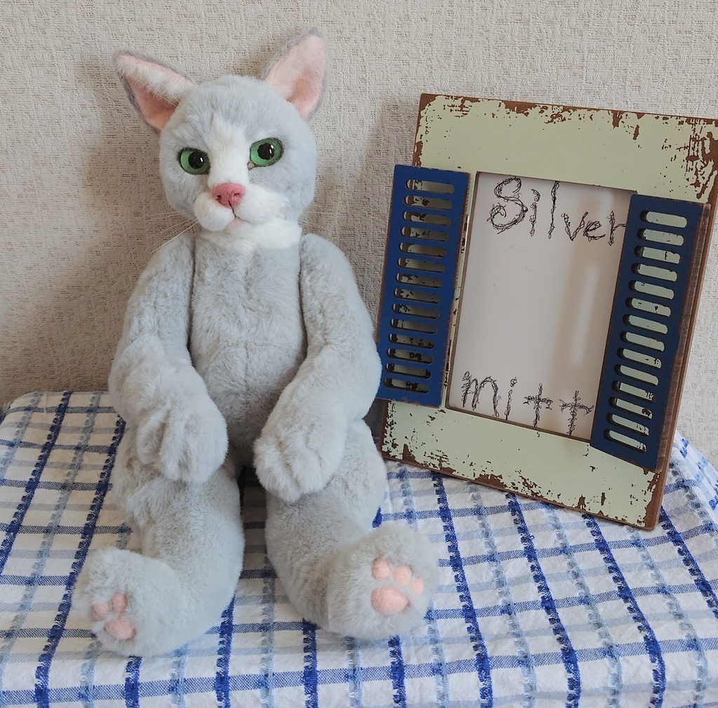 【おうちが決まりました】【一点物】●どるぐるみシリーズ5●リアルめな顔の猫さん