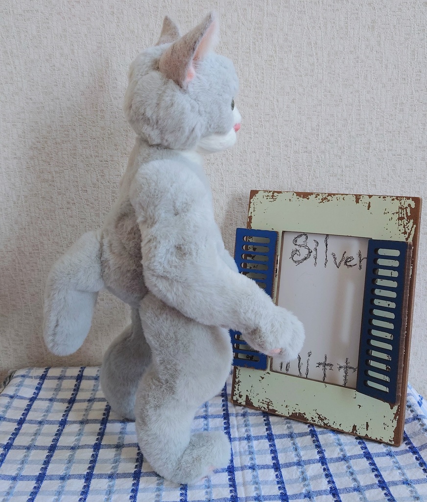 【おうちが決まりました】【一点物】●どるぐるみシリーズ5●リアルめな顔の猫さん