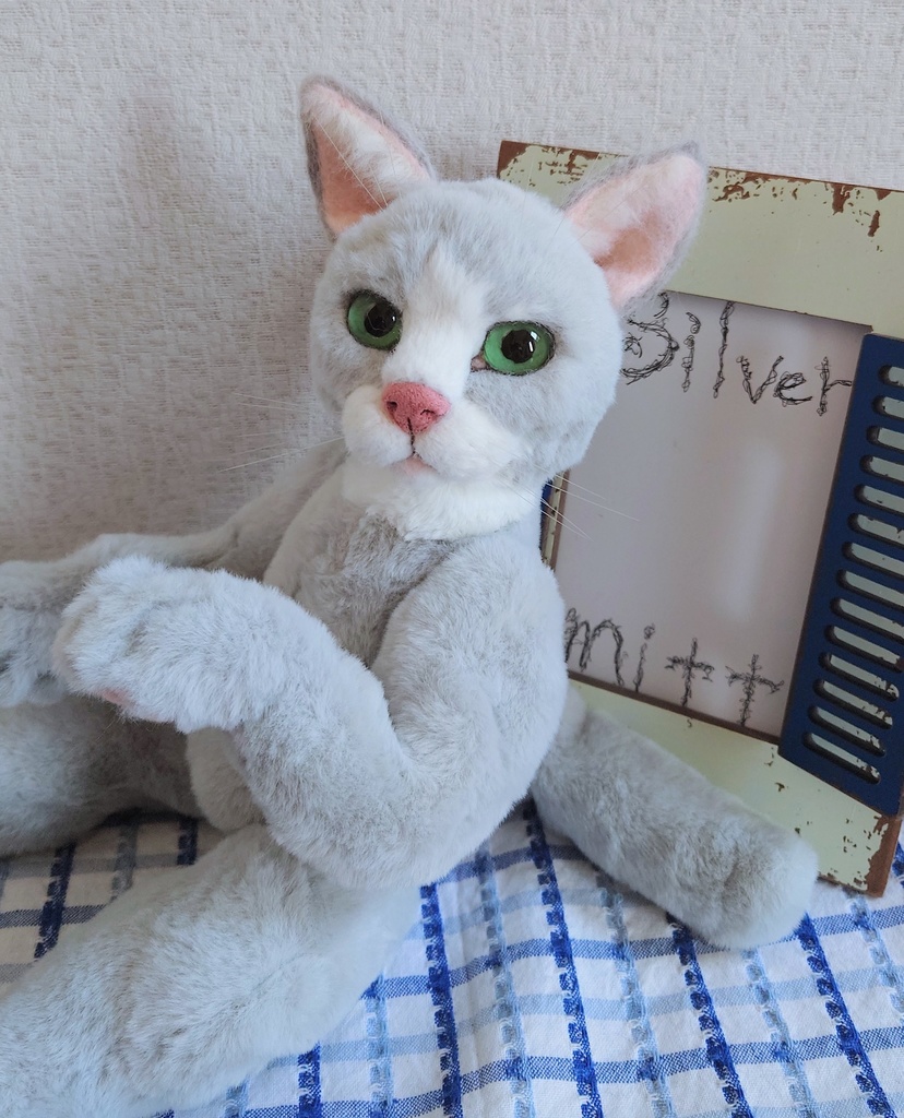 【おうちが決まりました】【一点物】●どるぐるみシリーズ5●リアルめな顔の猫さん