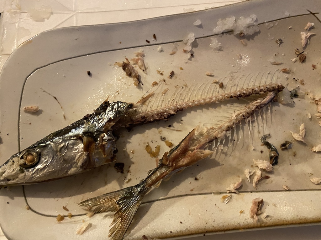 お魚の残骸Tシャツ