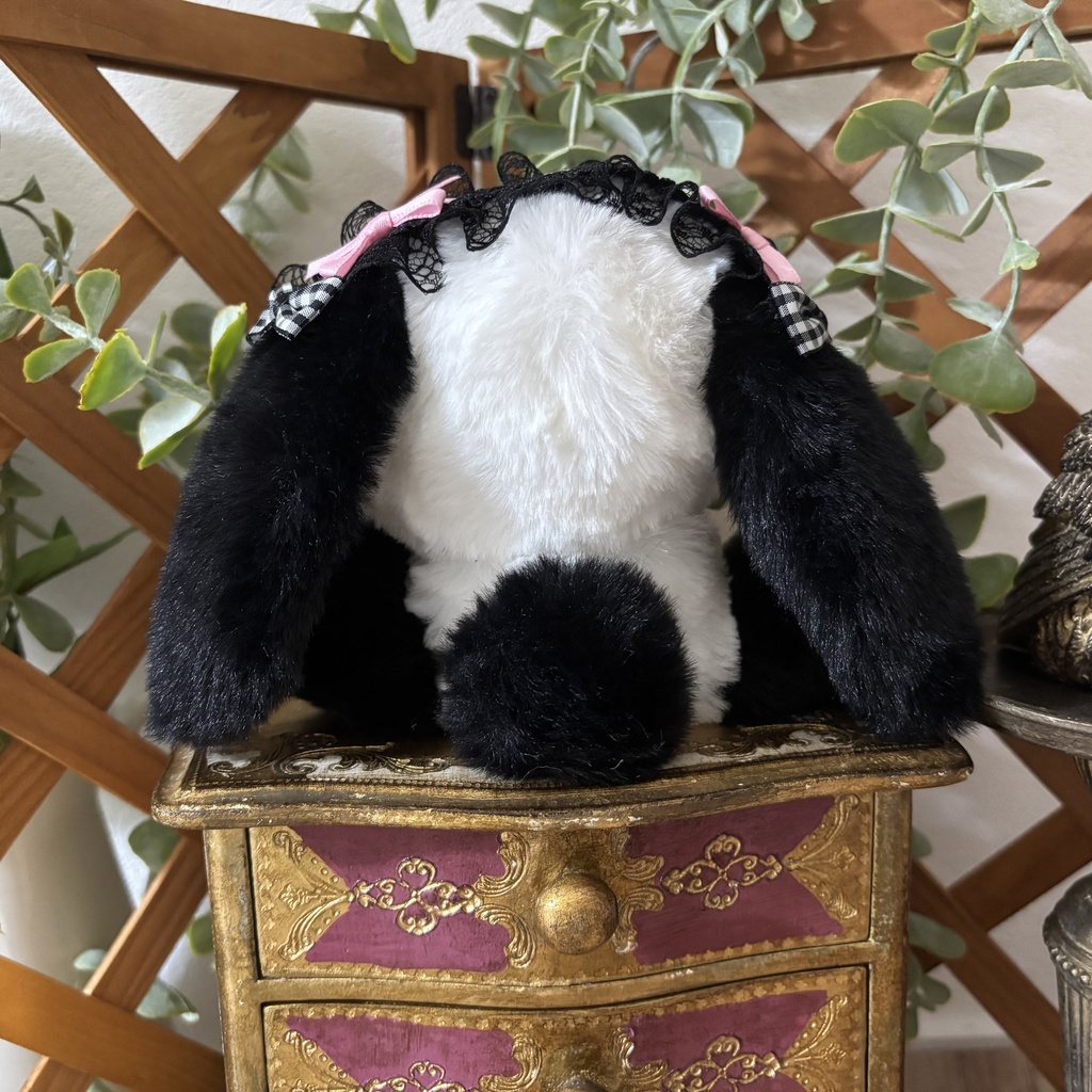 ๐ฐใใใใใใใใใ๐