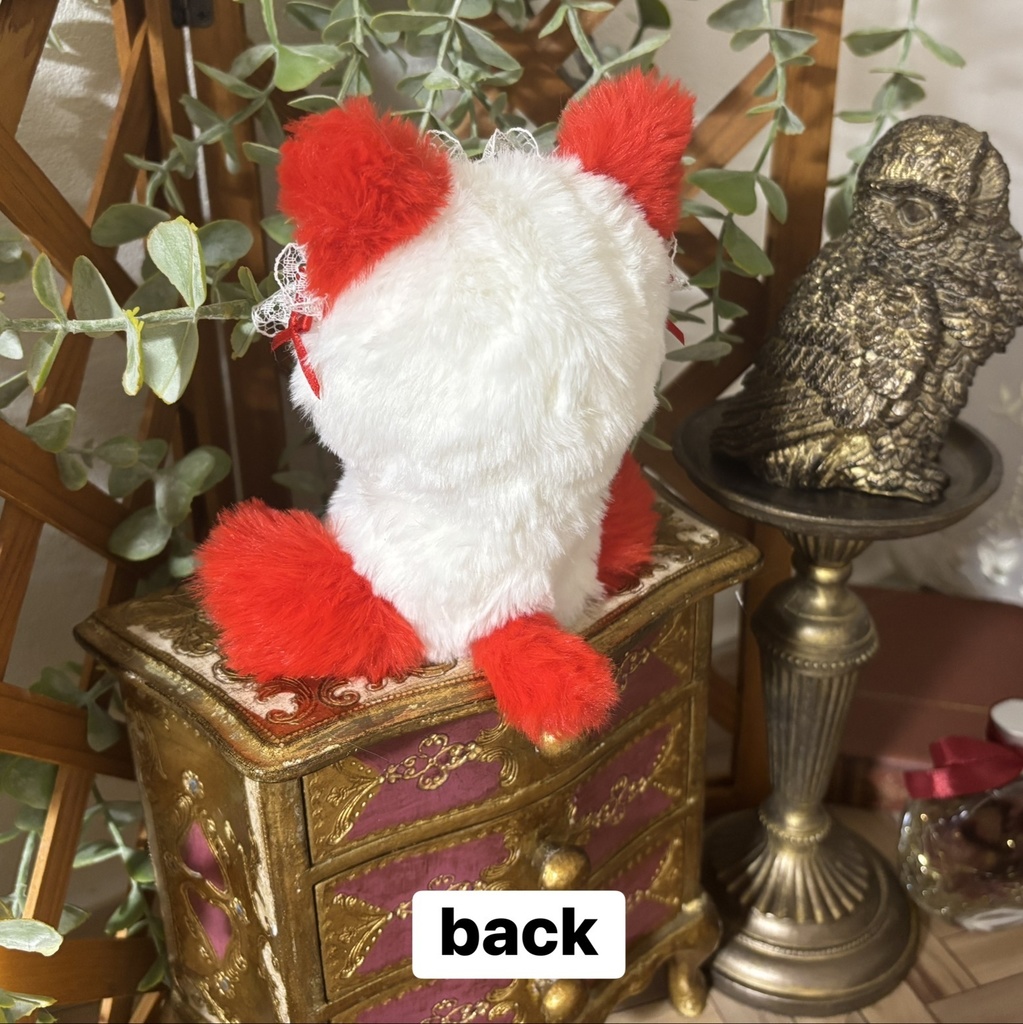 ๐ฑใตใใตใใใใใใญใใใ๐