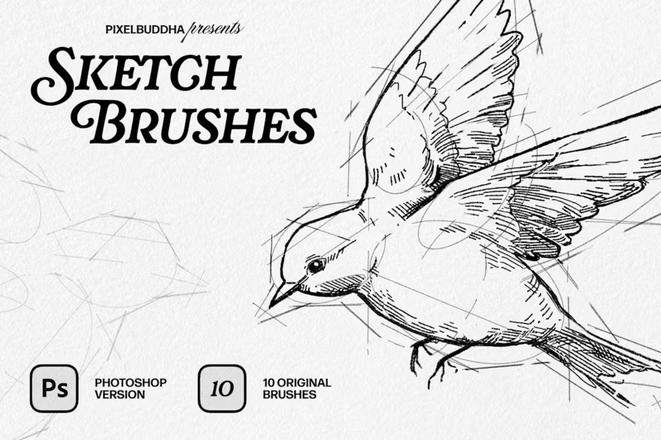 Sketch Brushes for Illustrator