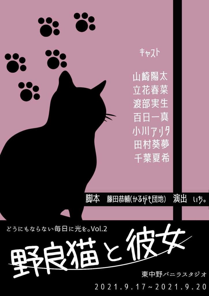 「野良猫と彼女」写真セット（山崎陽太)