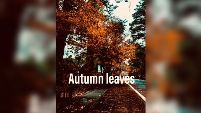 EIGht 【Album】無料版