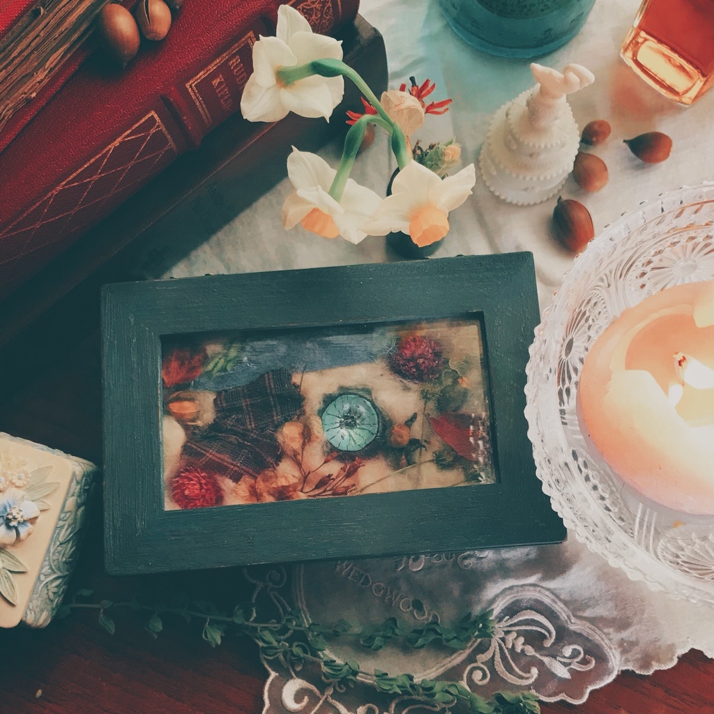 おねちゃんのカケラ標本箱〈𝐃〉