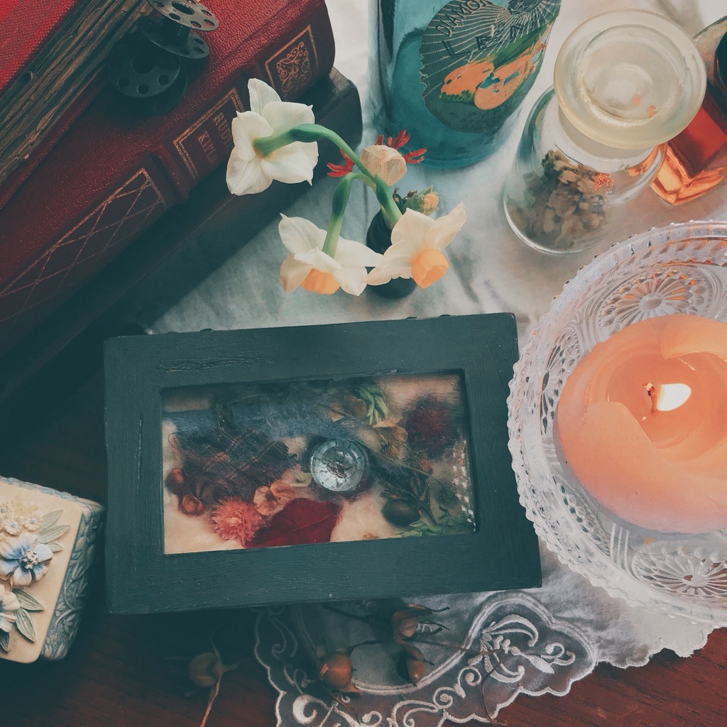 おねちゃんのカケラ標本箱〈𝐂〉