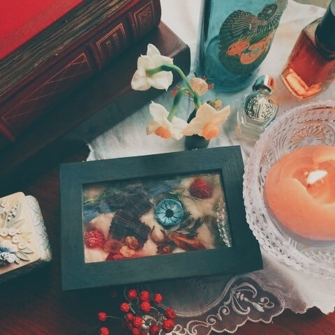 おねちゃんのカケラ標本箱〈𝐁〉