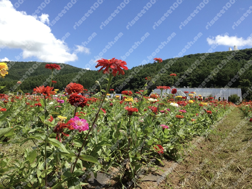 【無料】背景写真