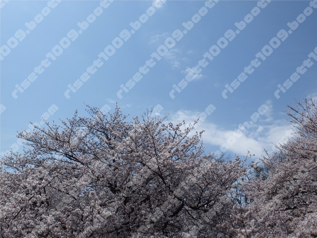 【無料】背景写真