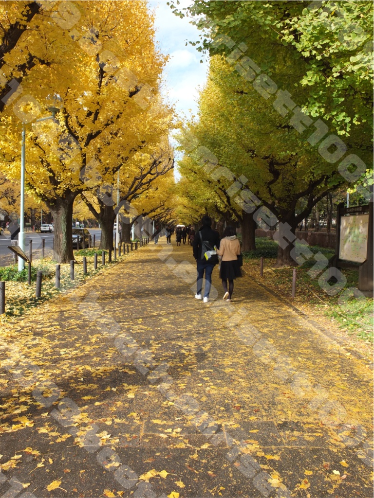 【無料】背景写真
