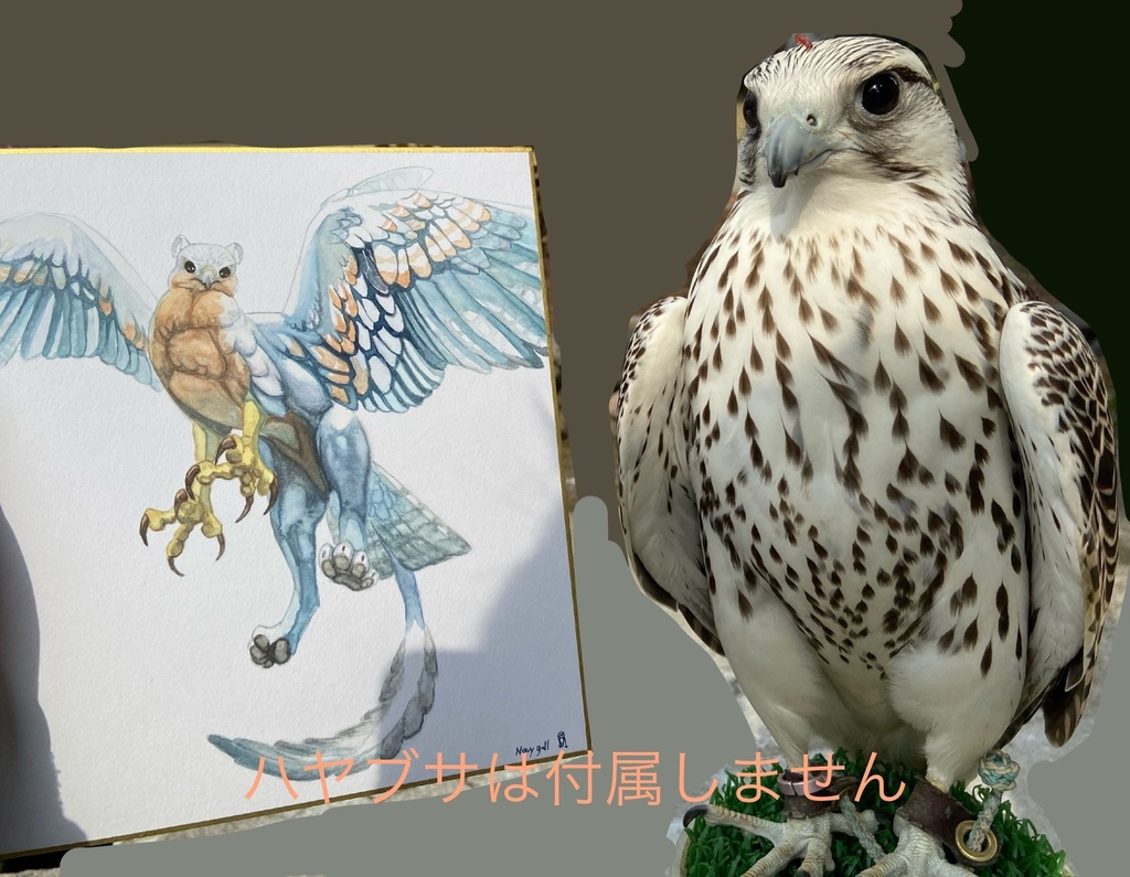 ヒッポグリフ 水彩中色紙