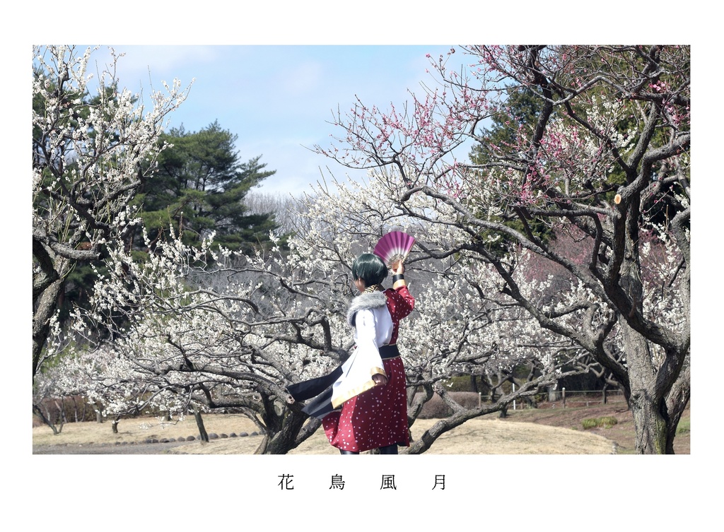 花鳥風月
