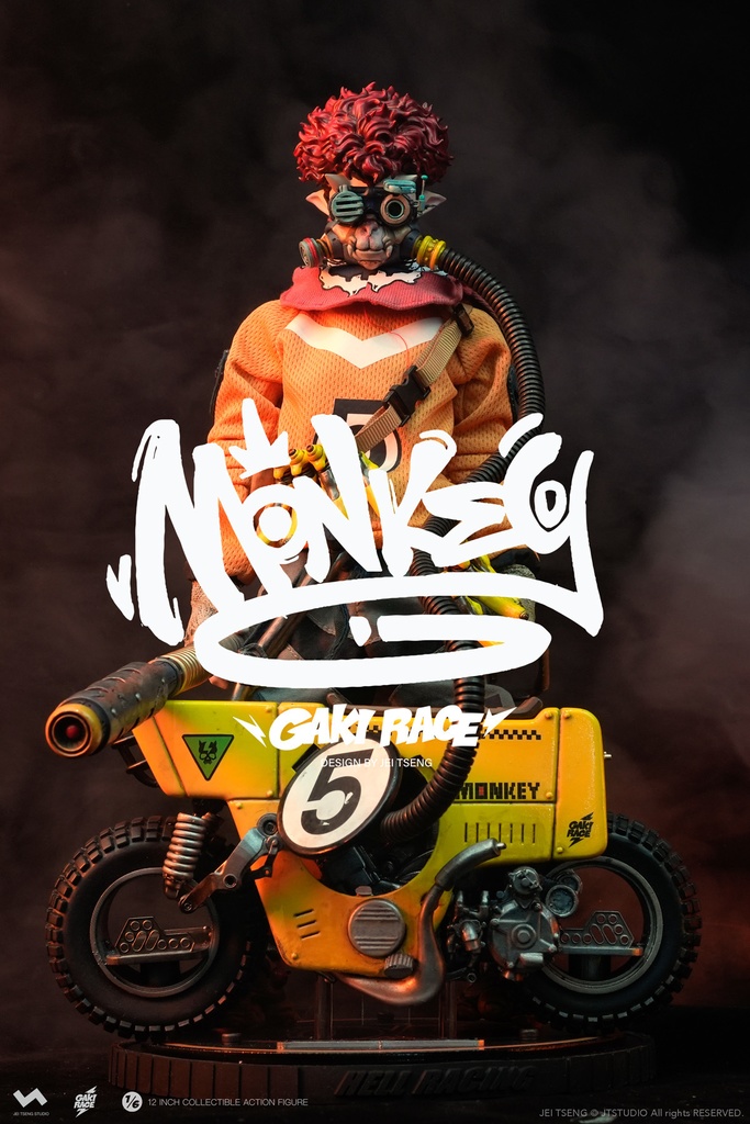 1/6 Monkey