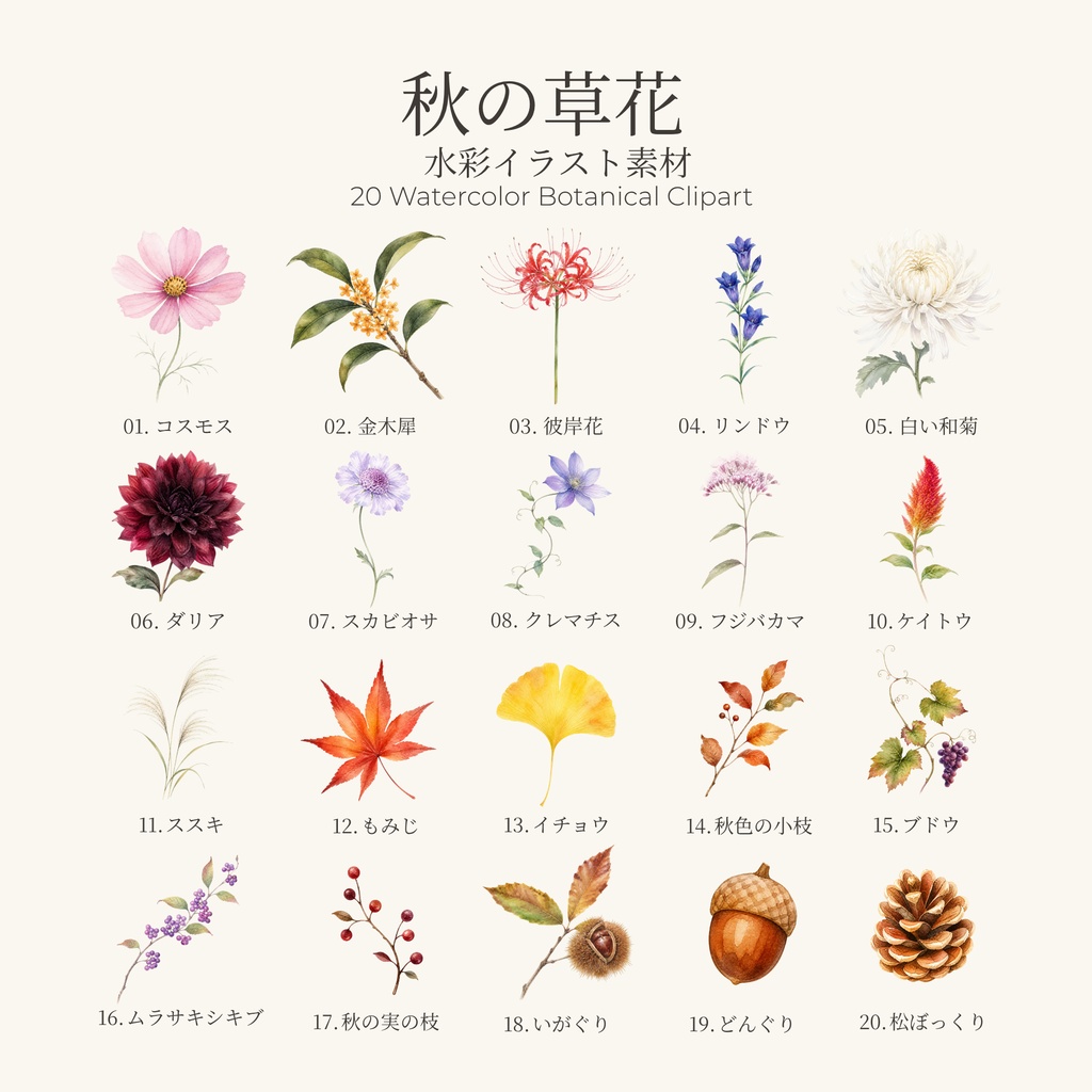 秋の草花 水彩イラスト素材20点セット|背景透過PNG・商用利用OK