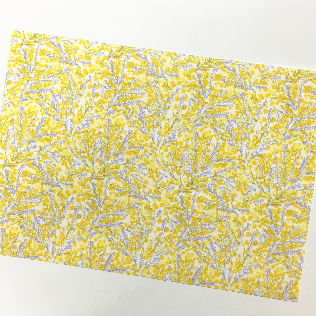 2019年3月分 Chu-coolカレンダー3種セット(おまけのパターンペーパー付き)