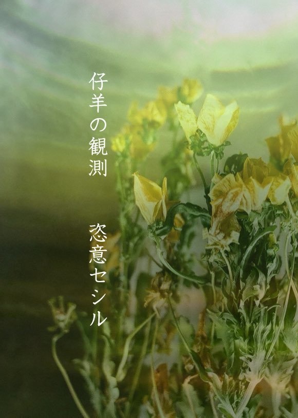 仔羊の観測