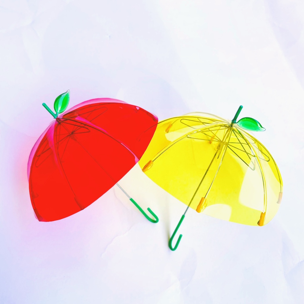 ミニ傘Mサイズ２点セット