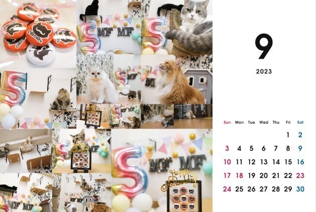 2023 保護猫カレンダーA