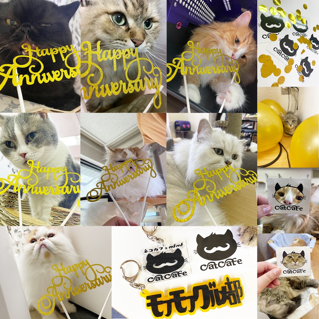 猫カフェmfmf 保護猫カレンダー2024