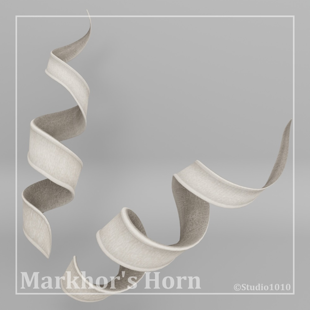 角 vol.3D_マーコール