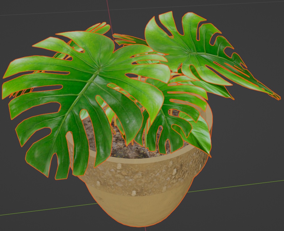 観葉植物(モンステラ)