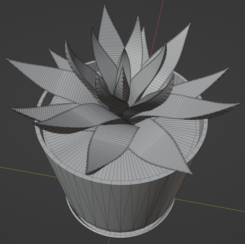 観葉植物(ガステリア)