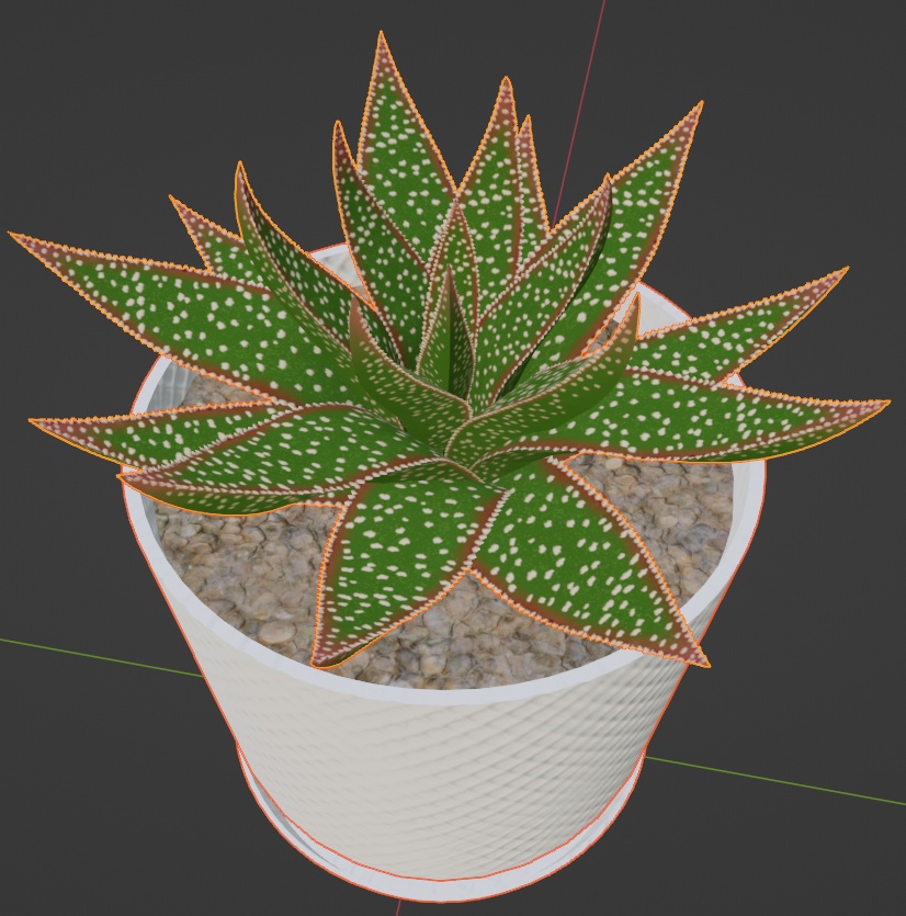 観葉植物(ガステリア)