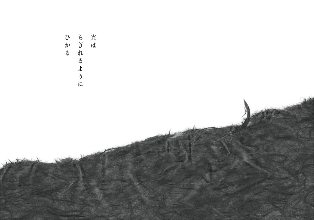 光はちぎれるようにひかる
