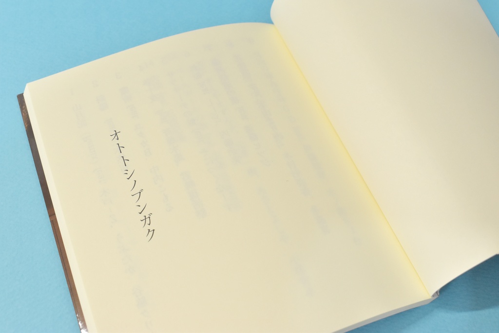 オトトシノブンガク