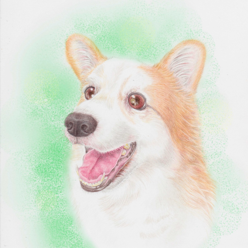 ペット似顔絵